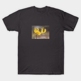 Little yellow flowers T-Shirt